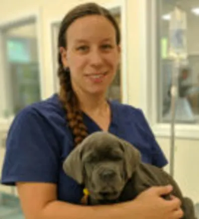 Rachel Tremblay at Henniker Veterinary Hospital